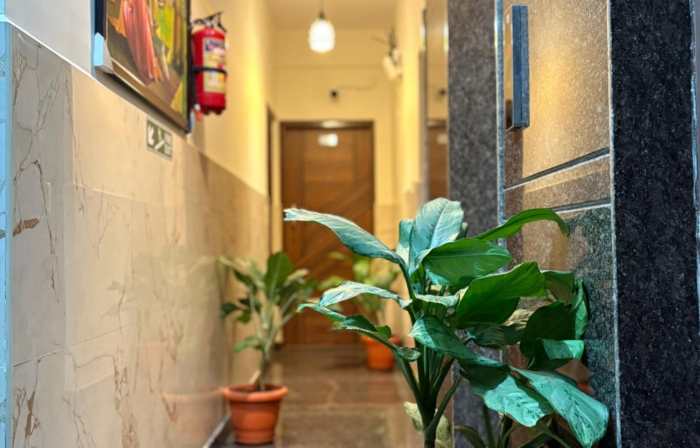 Gallery Picture